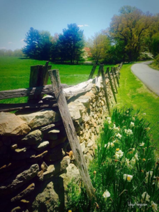 Stone Fence