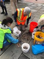 People Picking up Cigarette Butts