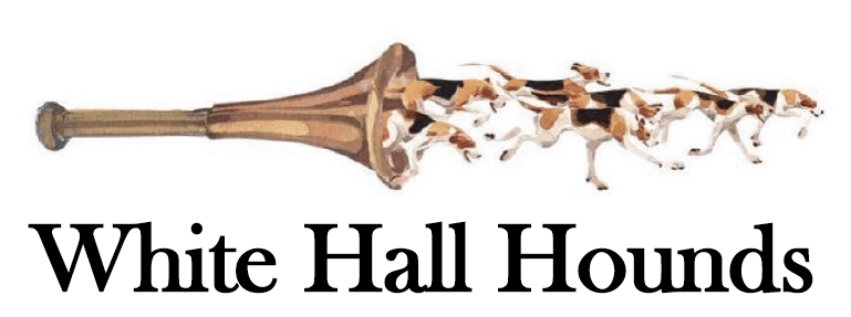 Screen Shot 2023-10-02 at 12.47.21 PM