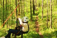 A Person Ziplining Through the Woods